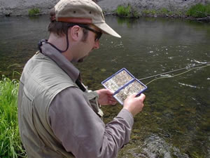Choosing a fly