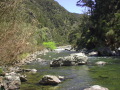 images/gallery/_thb_IM001486.JPG
